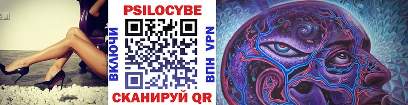 Псилоцибиновые грибы Psilocybine cubensis  Купить закладки  Невель 